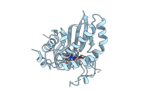 9IQU image