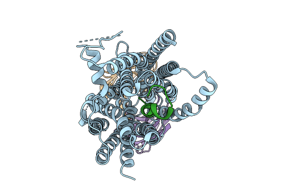 9IRC image