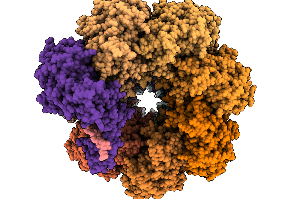 9IRG image