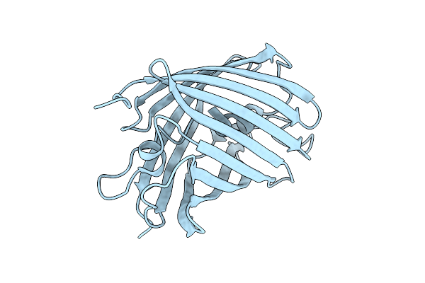 9IRJ image