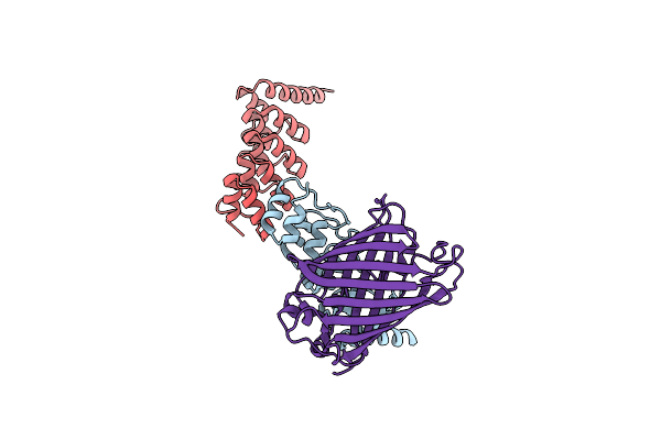 9IRV image
