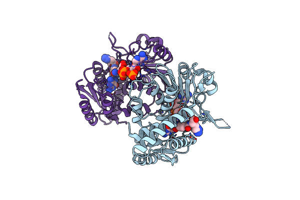 9ISC image