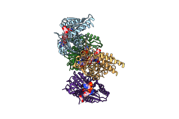 9ISE image