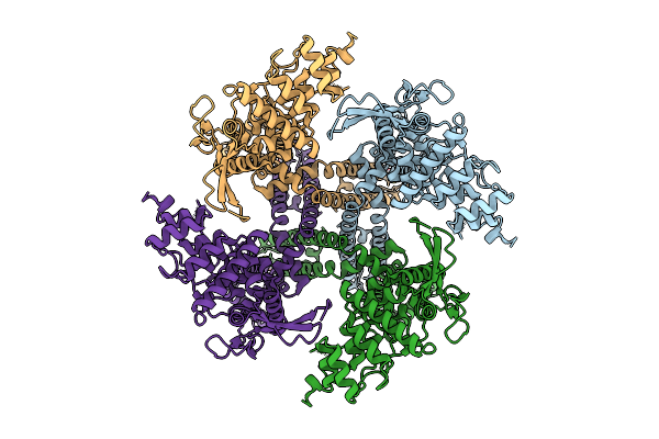9ISG image
