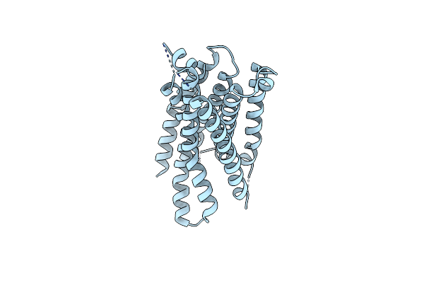 9ISI image