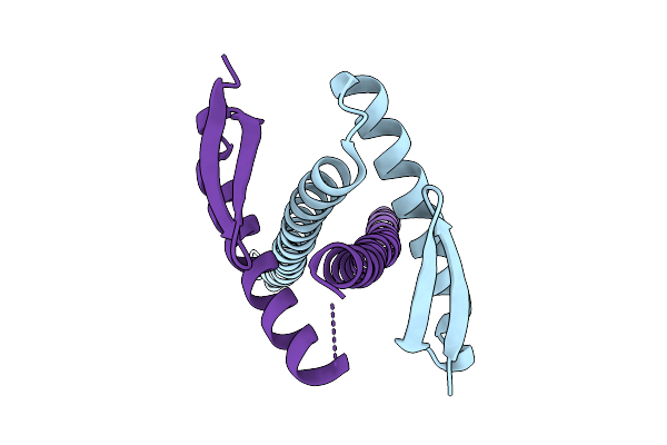 9ISJ image