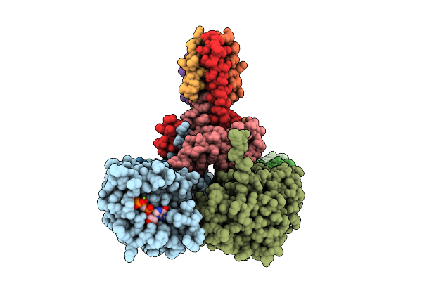 9ISK image