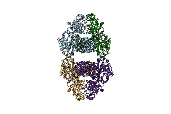 9ISQ image