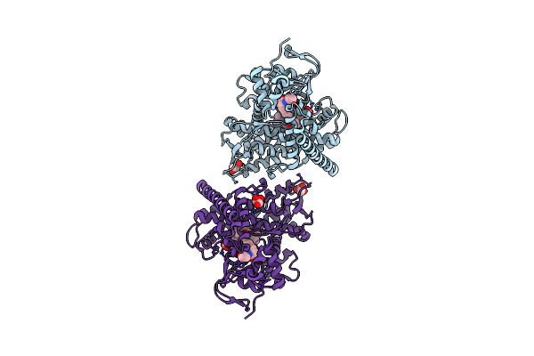 9ISU image