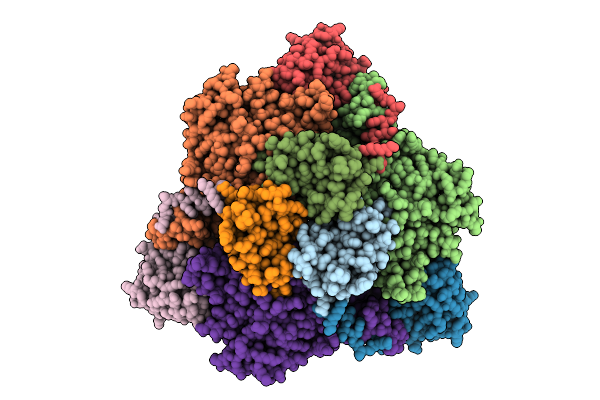9IT2 image