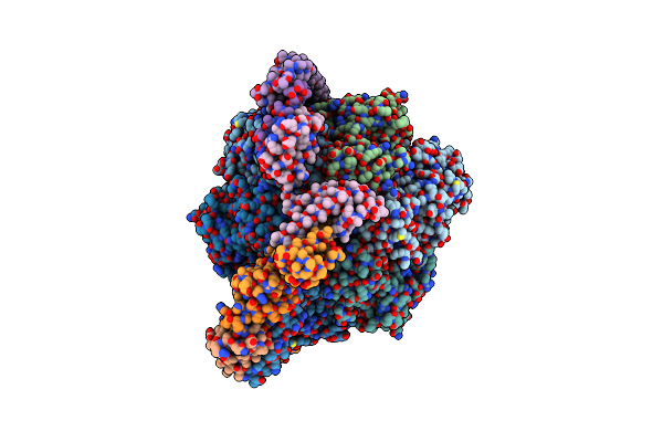 9ITJ image