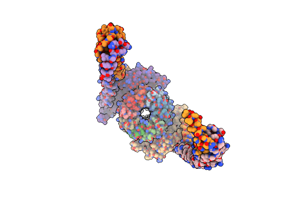 9ITP image