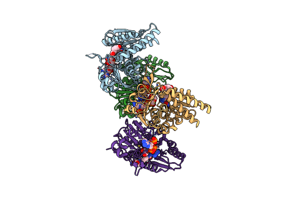 9IUO image