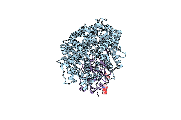 9IUQ image