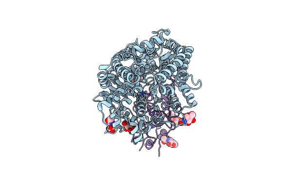 9IUU image