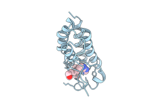 9IV5 image