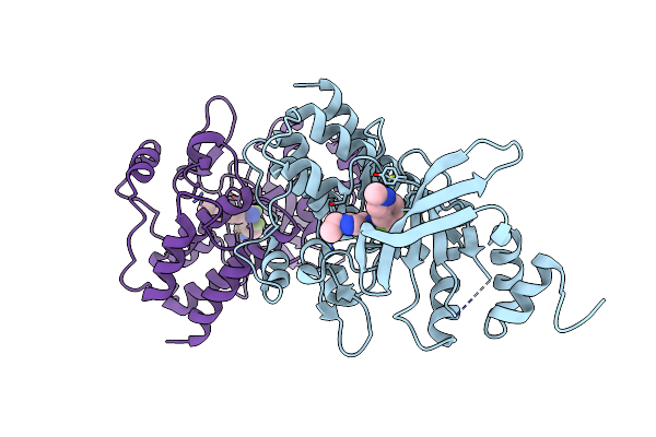 9IVB image