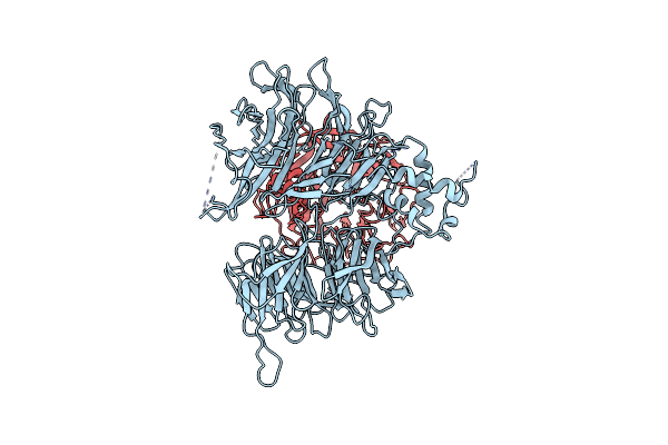 9IVD image