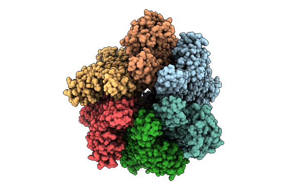 9IVF image