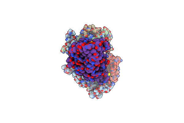 9IVM image