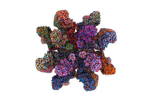 9IVP image