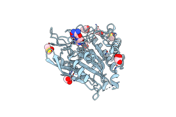 9IVV image
