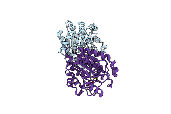 9IXG image