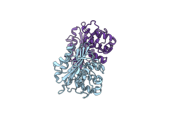 9IXN image