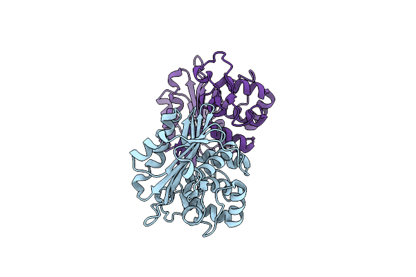 9IXO image