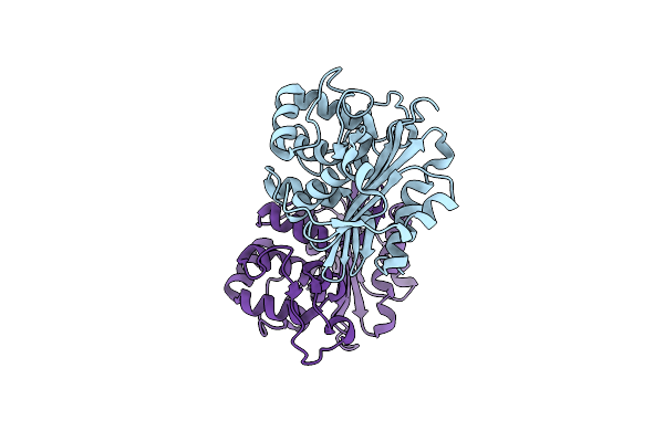9IXP image