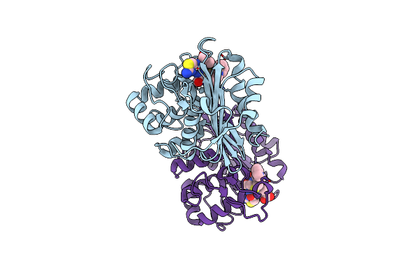 9IXR image