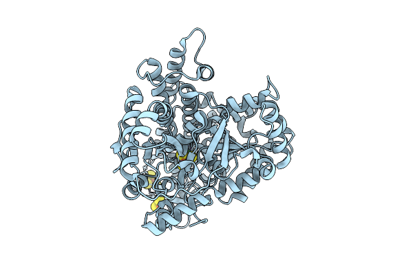 9IYN image