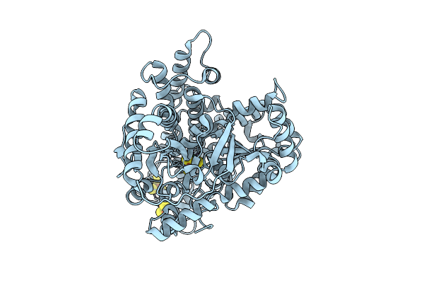 9IYO image