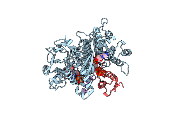 9IZ2 image