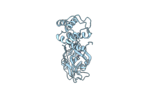 9IZB image