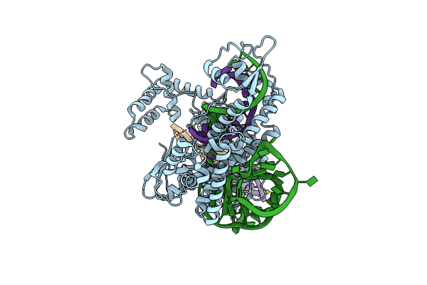 9IZP image