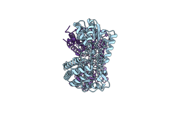 9IZU image