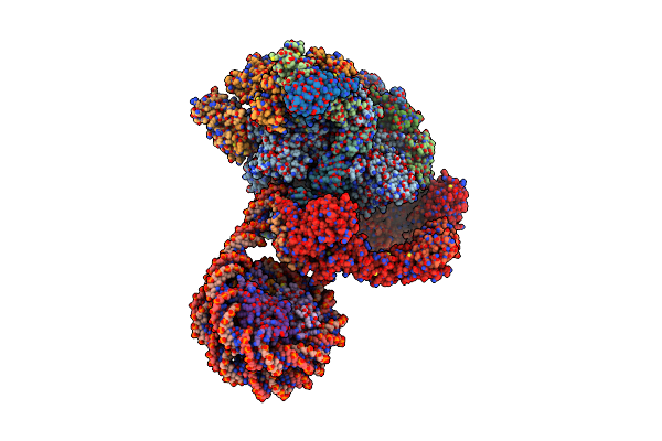 9J0P image