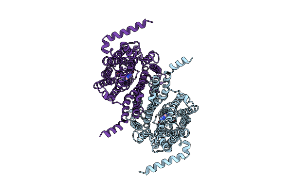 9J16 image