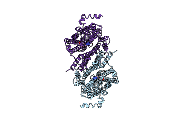 9J17 image