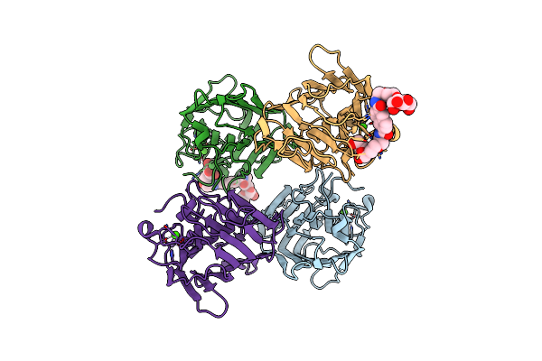 9J1C image