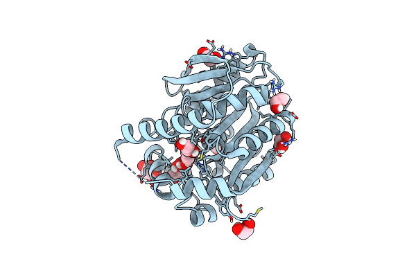 9J1E image