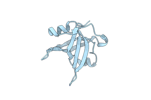 9J1S image