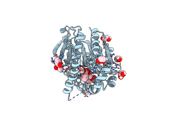 9J1V image