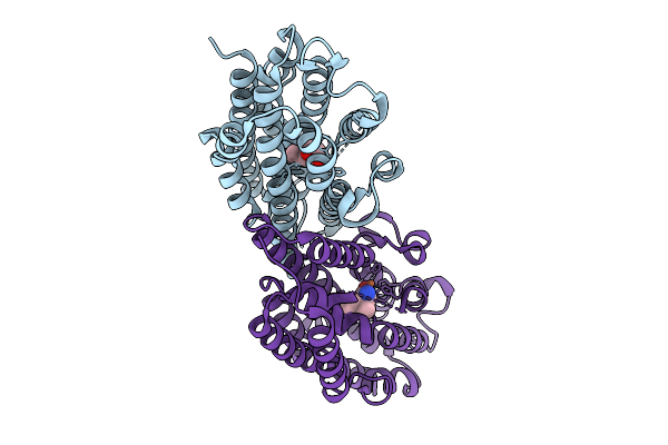 9J2C image