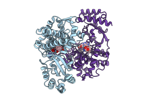 9J2P image