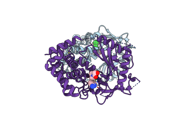 9J2Y image