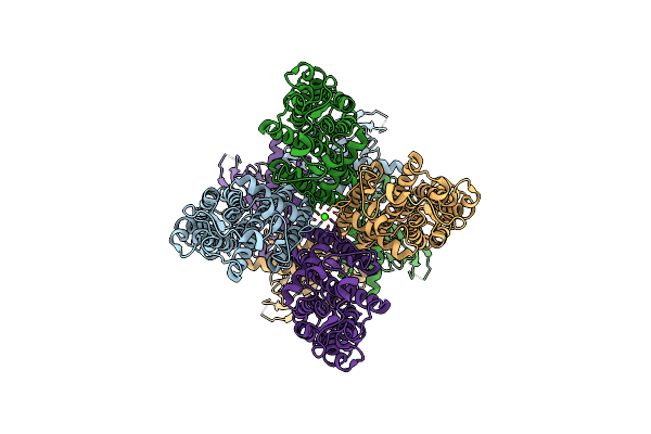 9J34 image