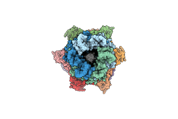 9J3D image