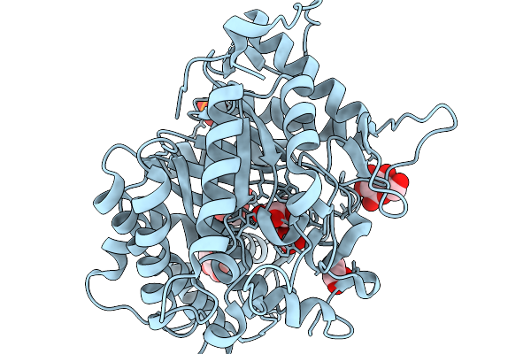 9J44 image